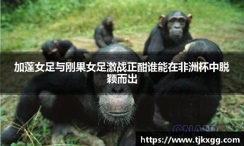 星空体育(中国)官方网站